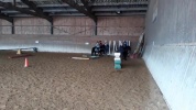 Cours d'équitation Babyponeys