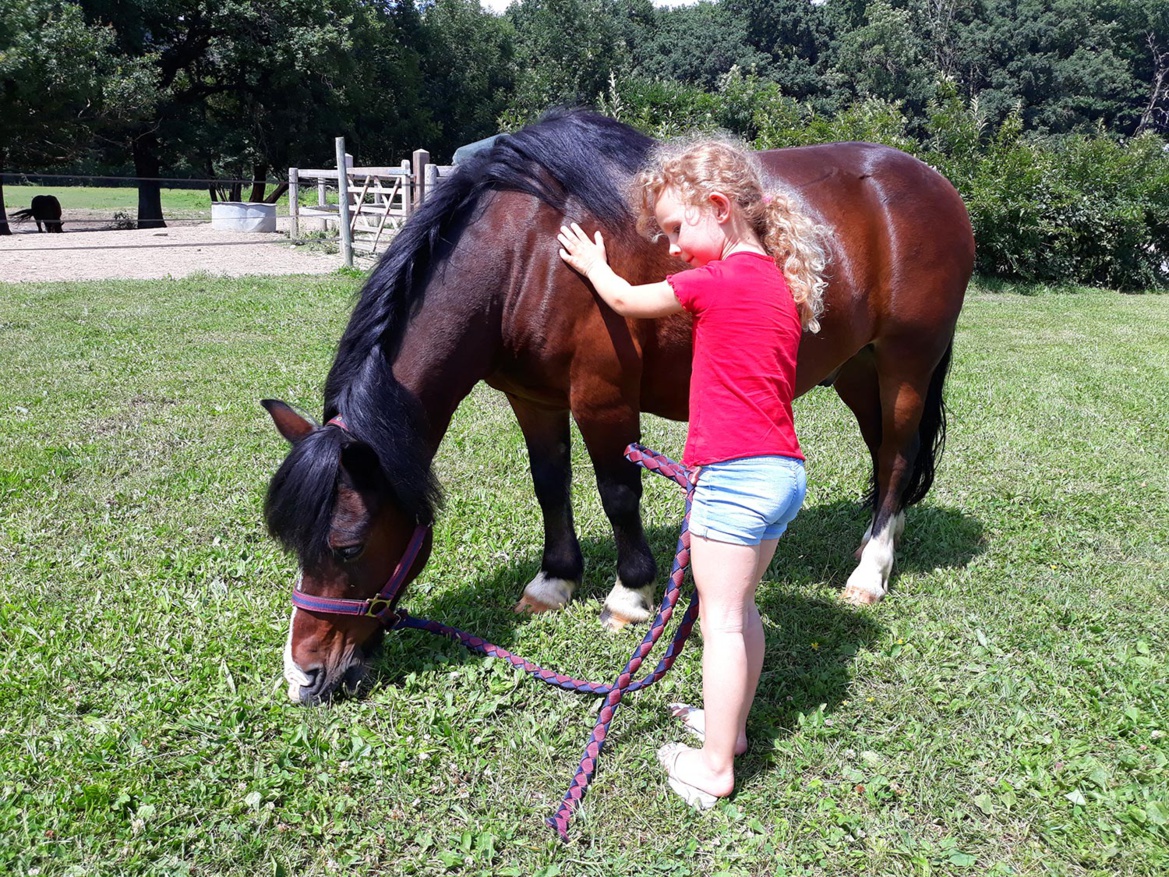 Poney heureux