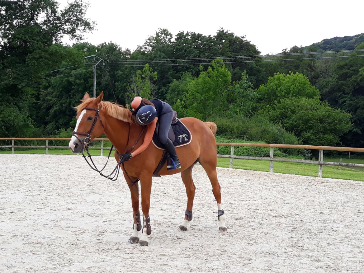 Les Écuries du Rosey, Poney club dans le Pays de Gex