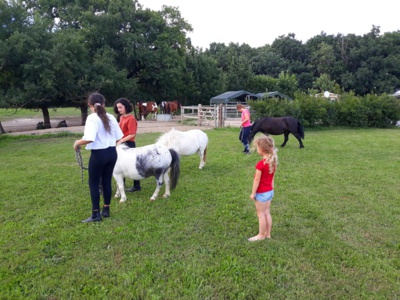 Les Écuries du Rosey, Poney club dans le Pays de Gex