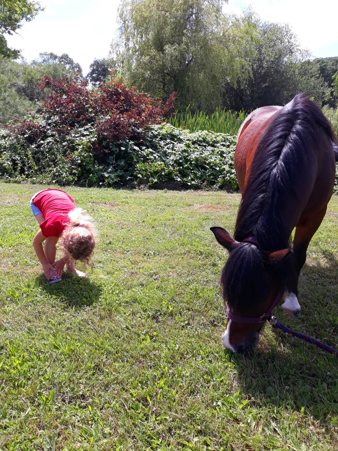 Mon petit poney Mon petit poney