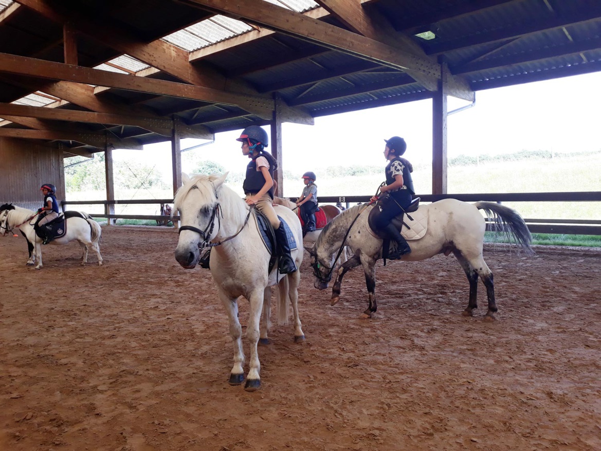 Cours d'équitation débutants