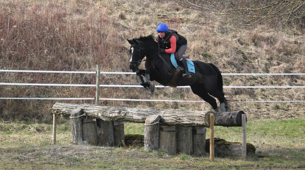 L'équipe des Écuries du Rosey L'équipe des Écuries du Rosey