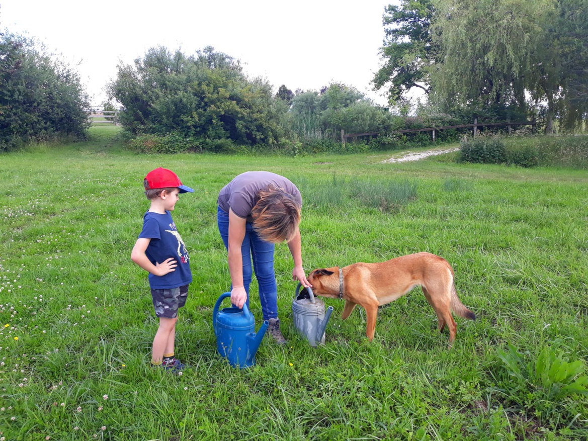 L'équipe des Écuries du Rosey L'équipe des Écuries du Rosey