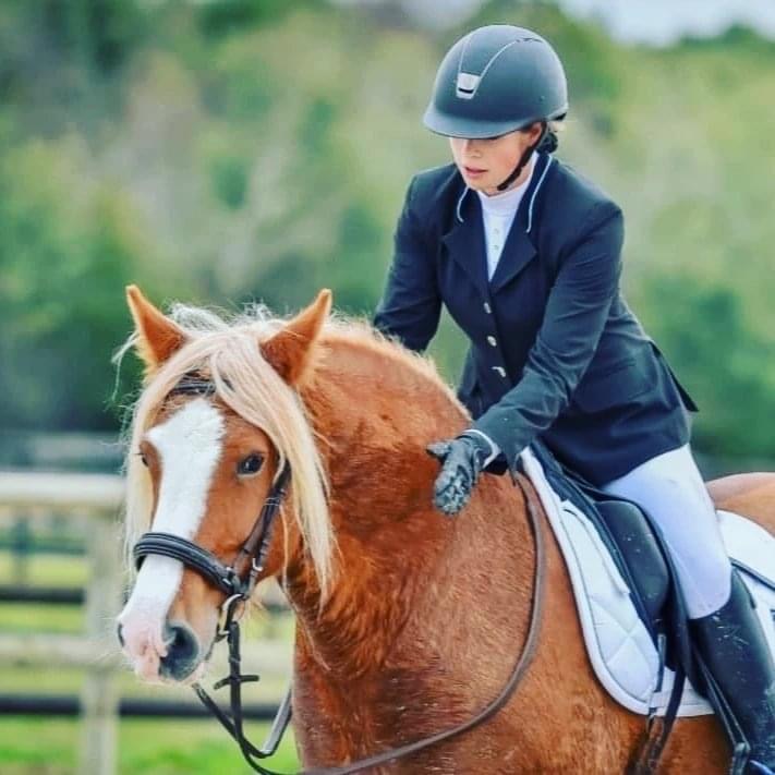 L'équipe des Écuries du Rosey L'équipe des Écuries du Rosey