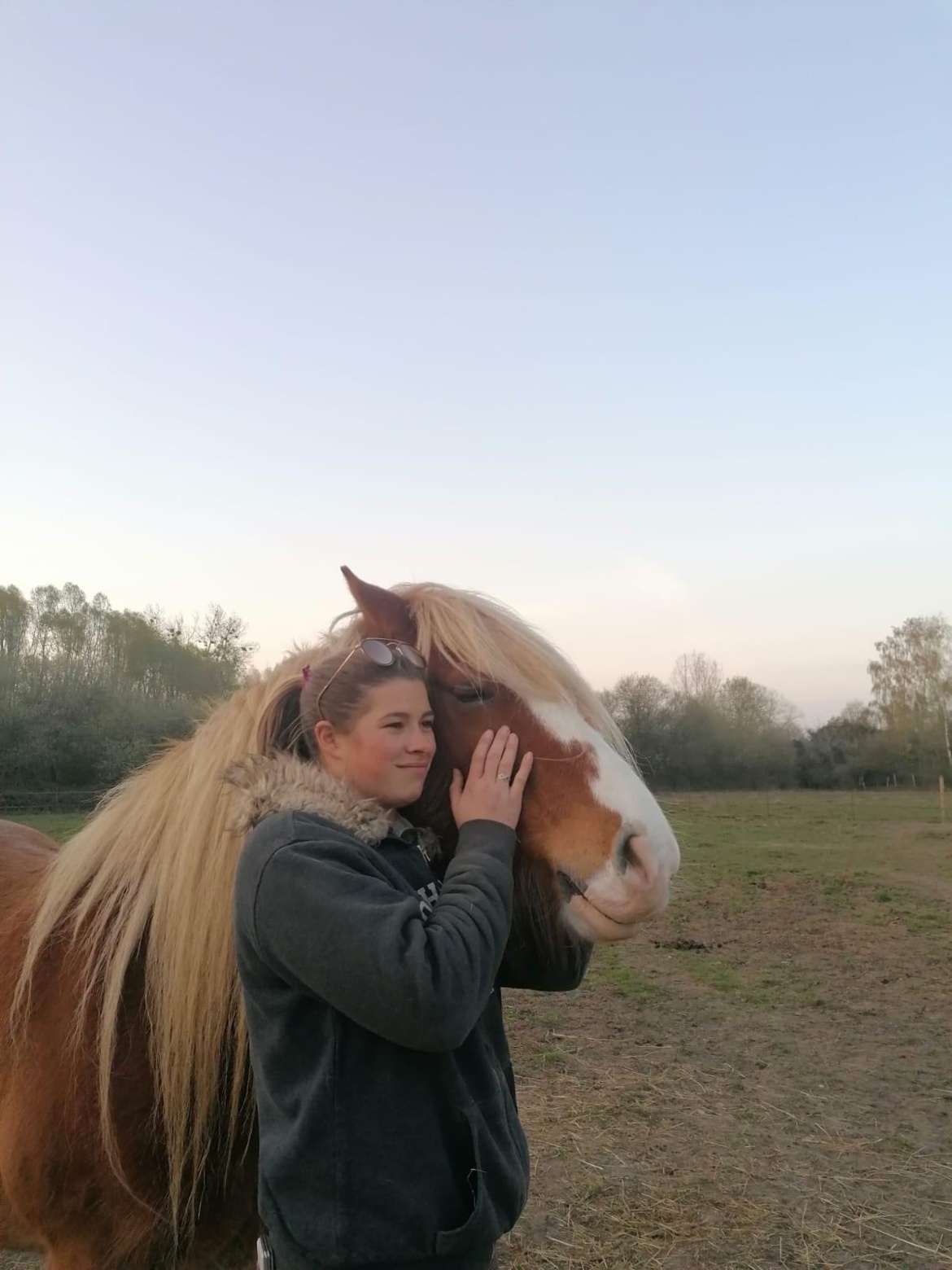 L'équipe des Écuries du Rosey L'équipe des Écuries du Rosey