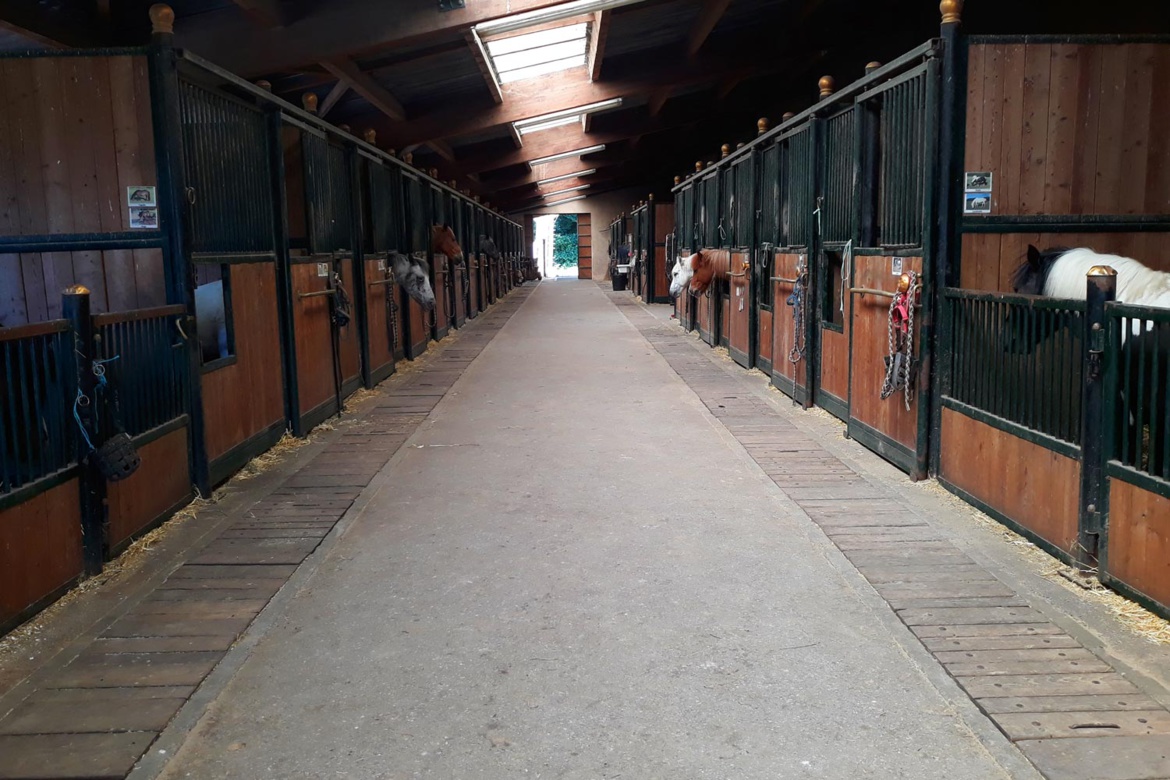 Allée centrale Allée centrale