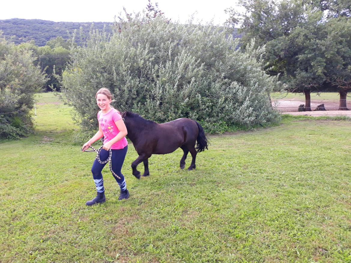 Amour de poney