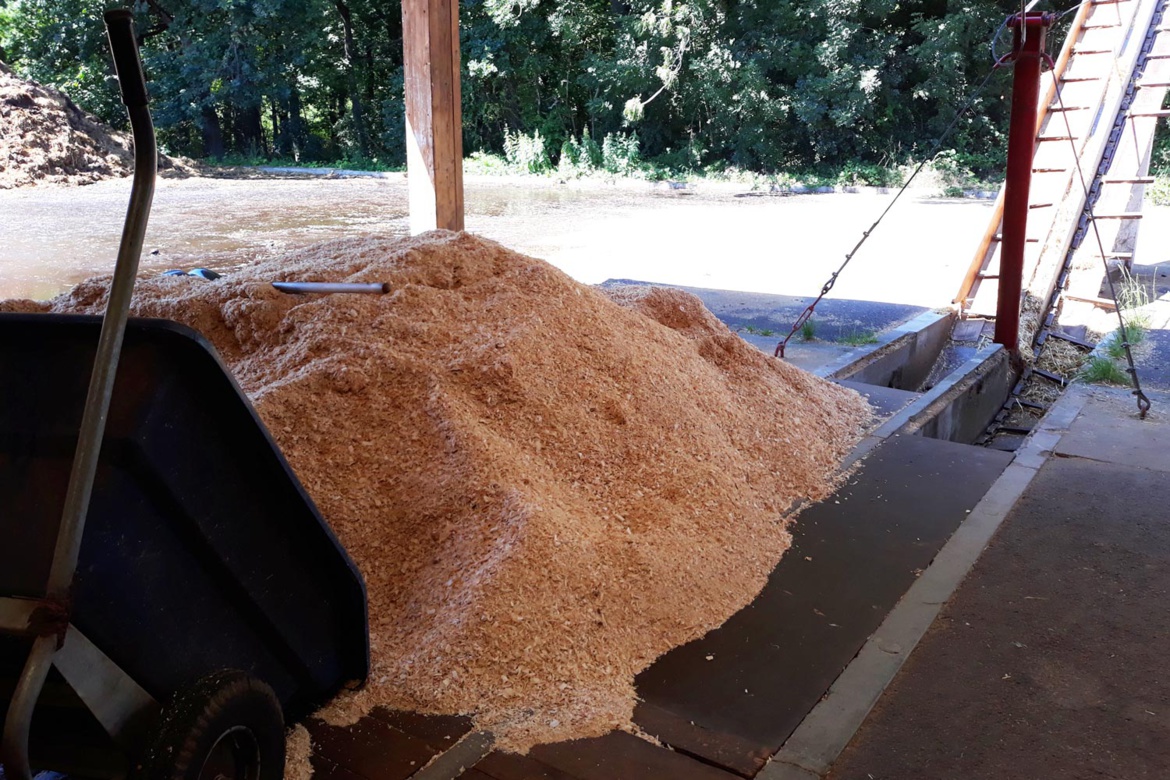 Un lit de sciure de bois ! Un lit de sciure de bois !