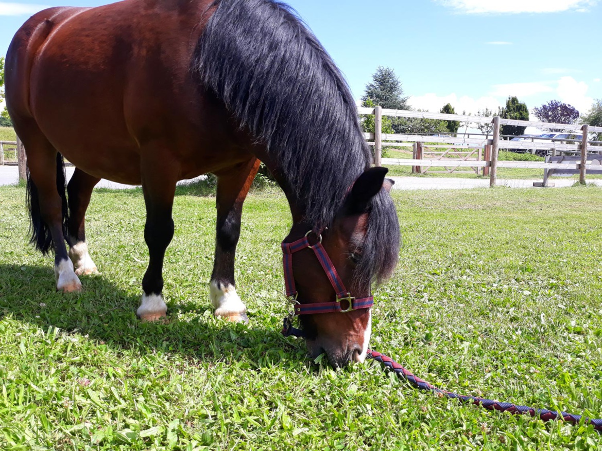 Hugo brille ! Hugo brille !