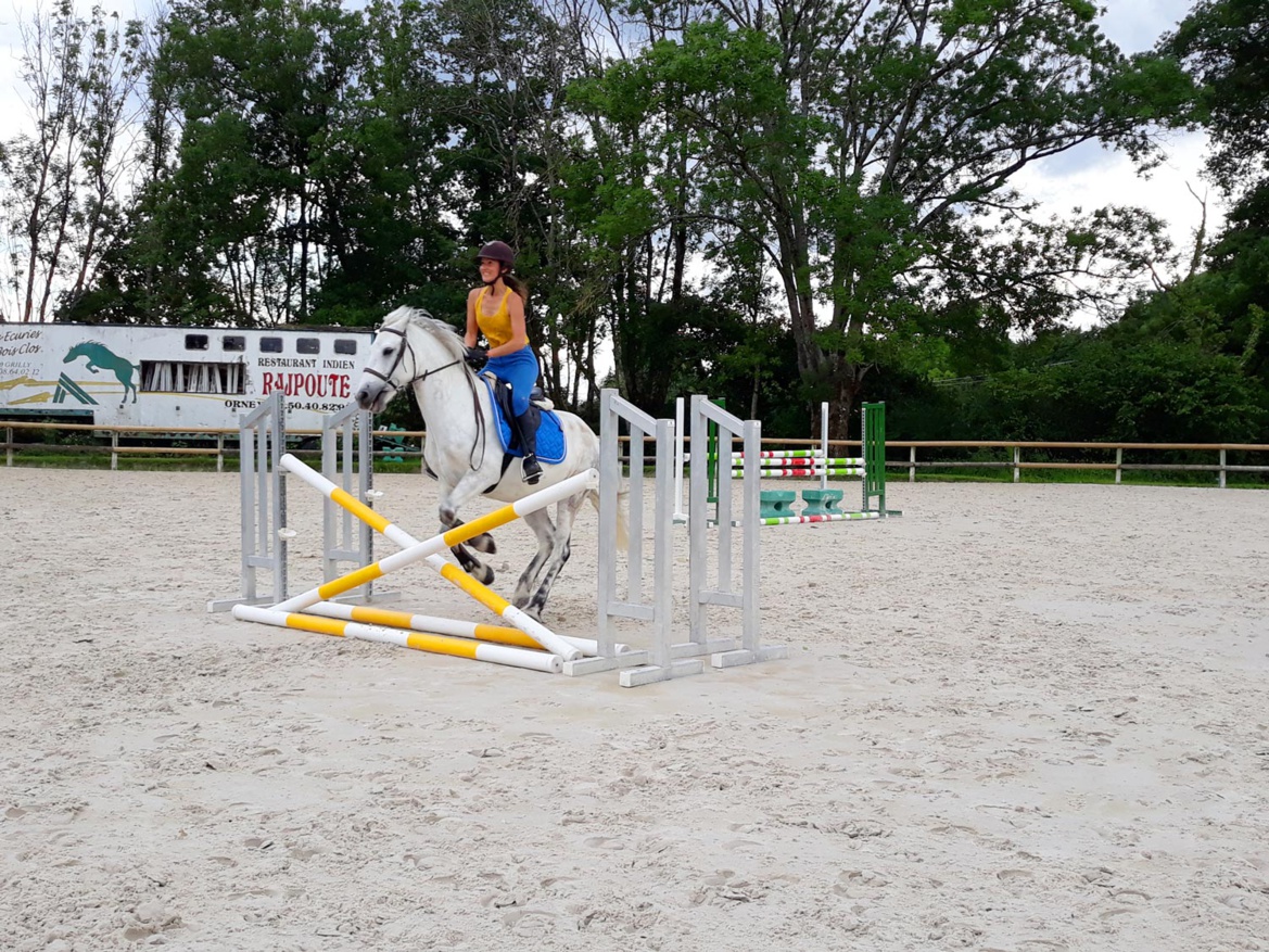 Cours adultes confirmés