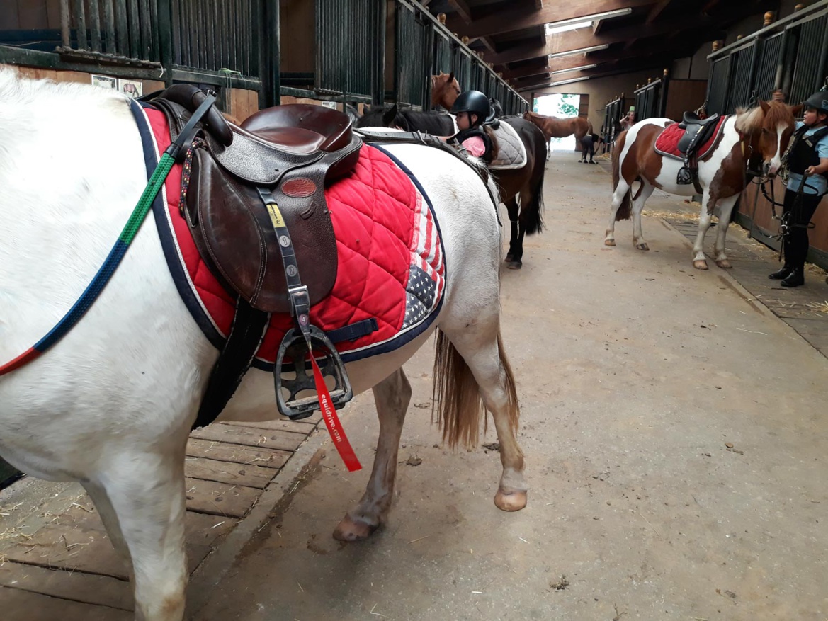 Préparation de son poney