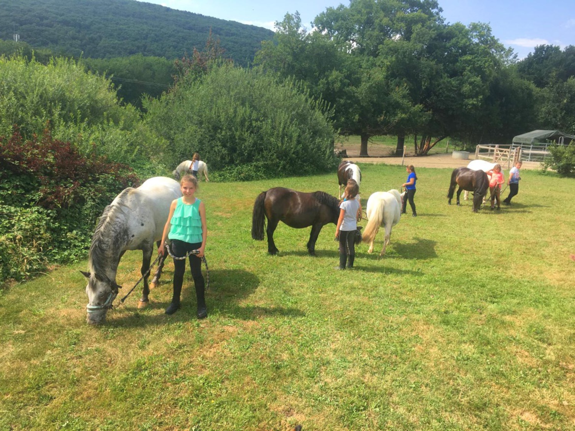 Faire brouter son poney !