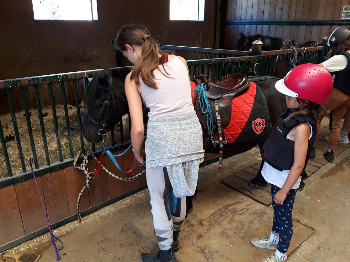 L'entraide au centre équestre L'entraide au centre équestre