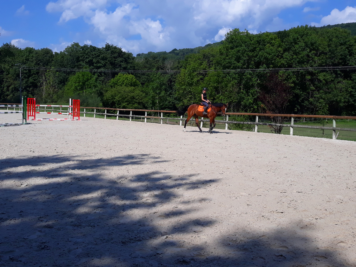 Cours d'équitation privés adultes