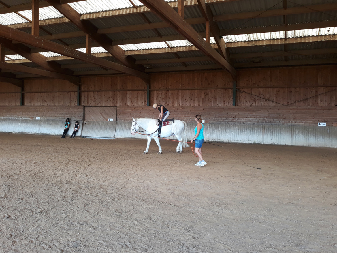 Cours de Voltige au poney club