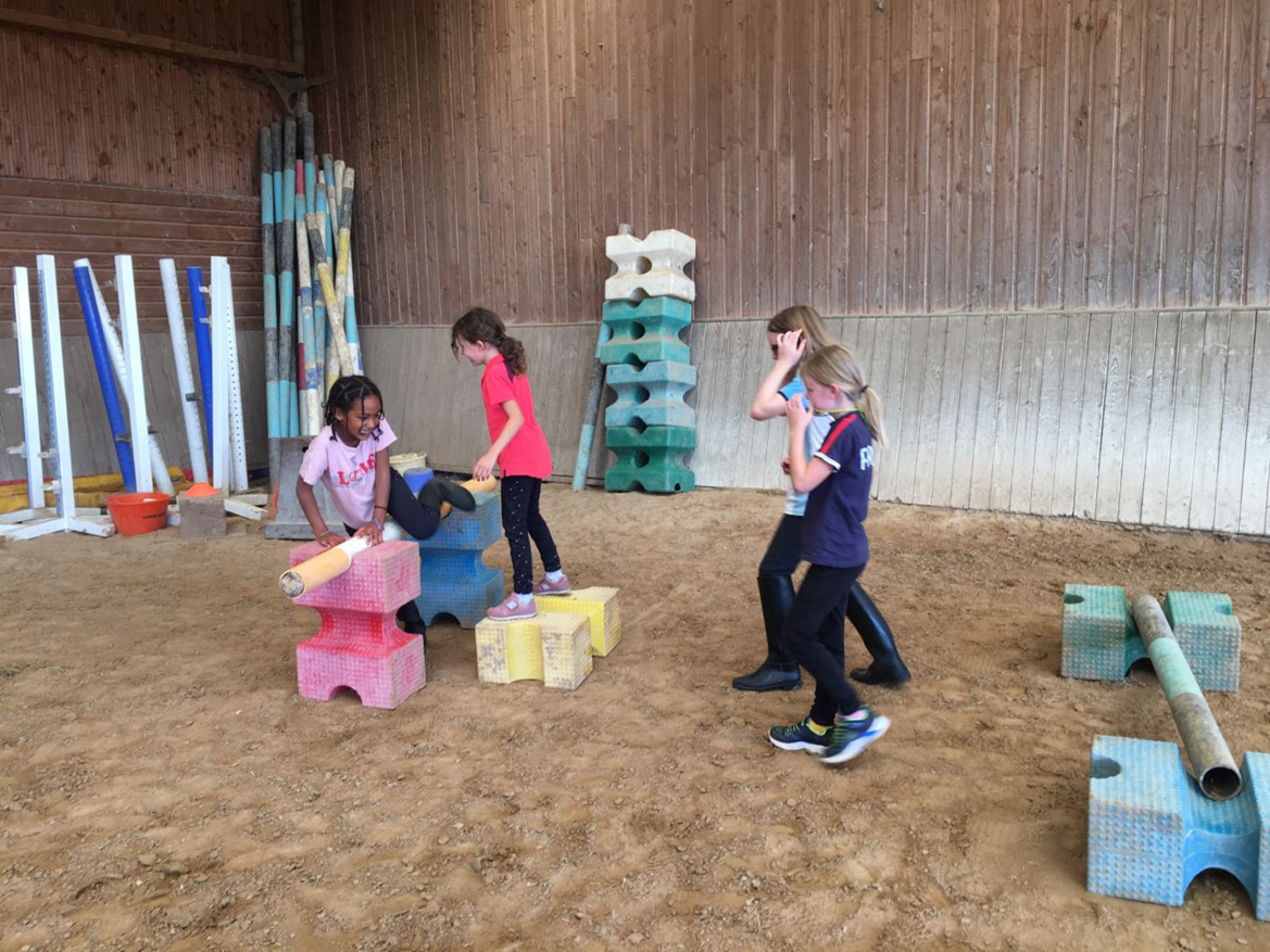 Lets play ! Lets play !