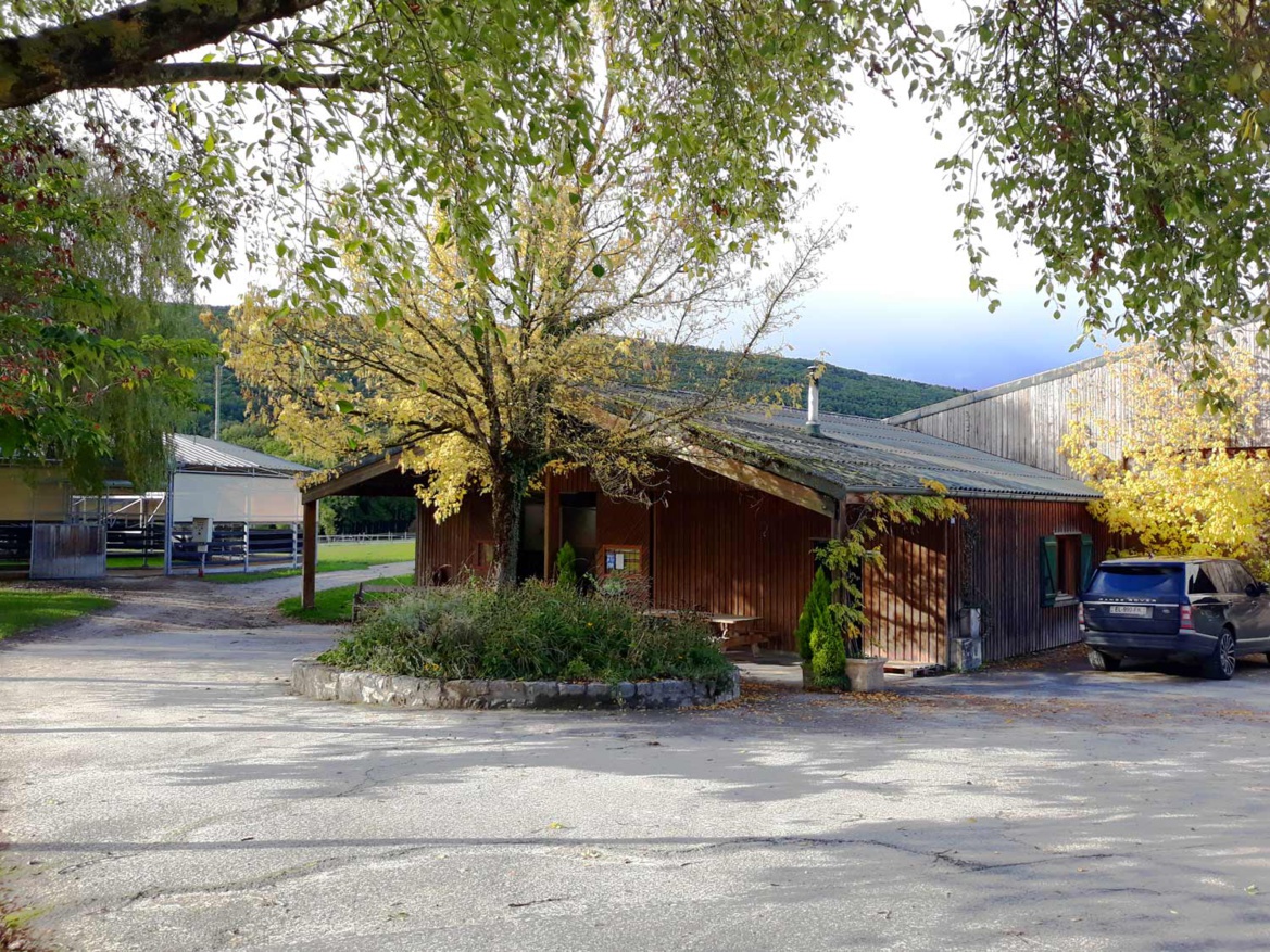 Lancement du site internet de notre écurie de propriétaires les Écuries du Bois Clos, centre équestre dans le Pays de Gex ! Lancement du site internet de notre écurie de propriétaires les Écuries du Bois Clos, centre équestre dans le Pays de Gex !