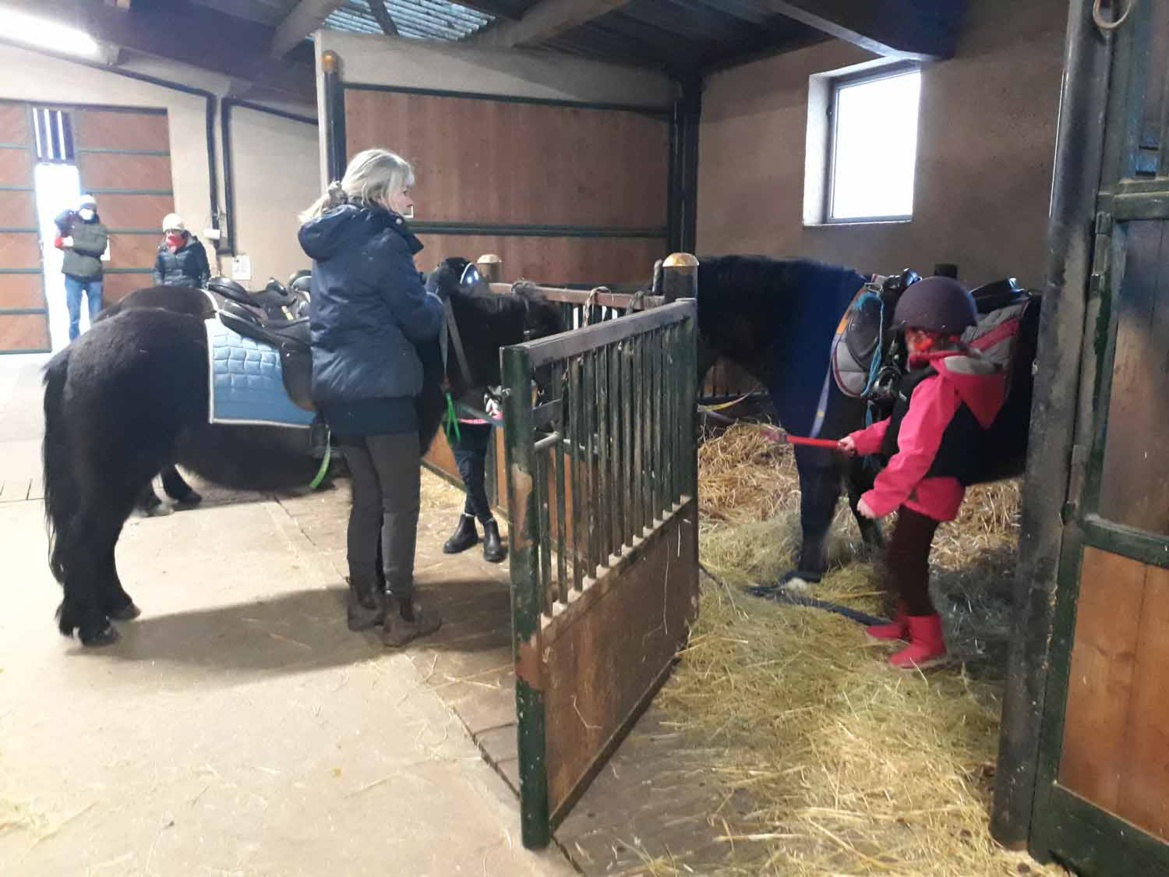 Préparation des poneys pour le cours d'équitation aux Écuries du Rosey