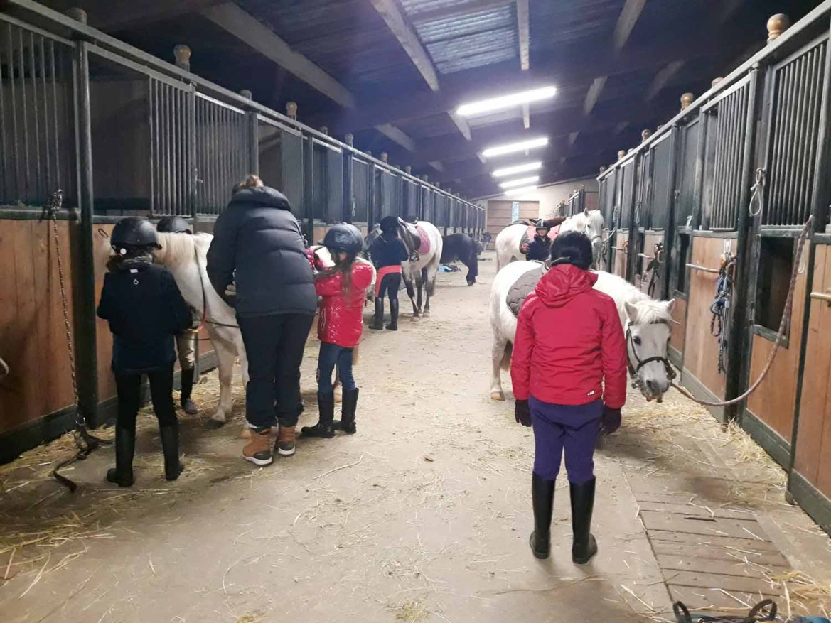 Préparation des poneys pour le cours d'équitation aux Écuries du Rosey