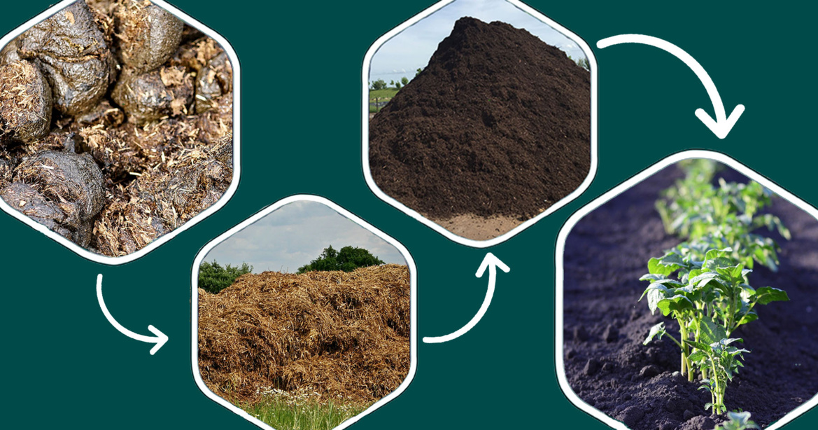 Découvrez le " Crott'in de Grilly ", fumier de cheval composté dans le pays de gex Découvrez le " Crott'in de Grilly ", fumier de cheval composté dans le pays de gex