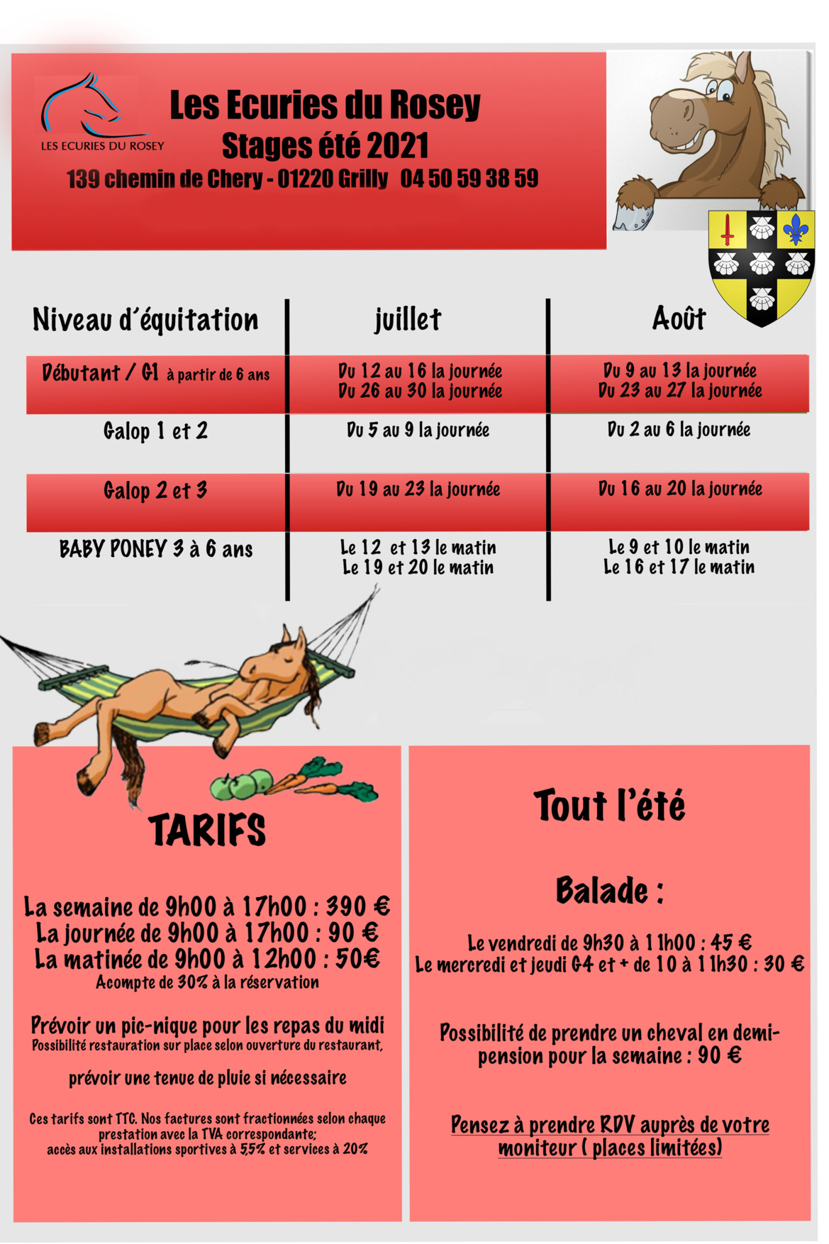 Stages équitation été 2021 aux Écuries du Rosey, poney-club dans le pays de Gex