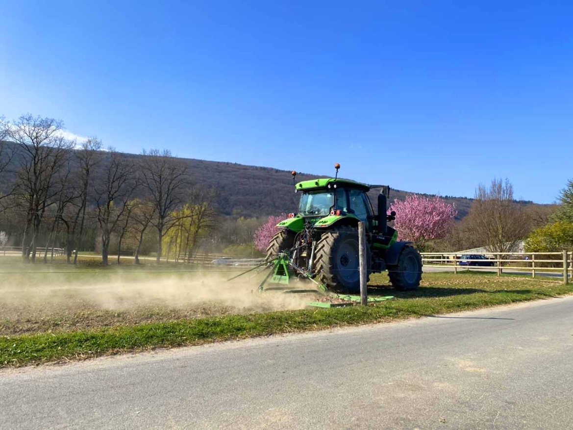 Entretien des parcs des Écuries du Rosey, école d'équitation à 5 min de Divonne les Bains