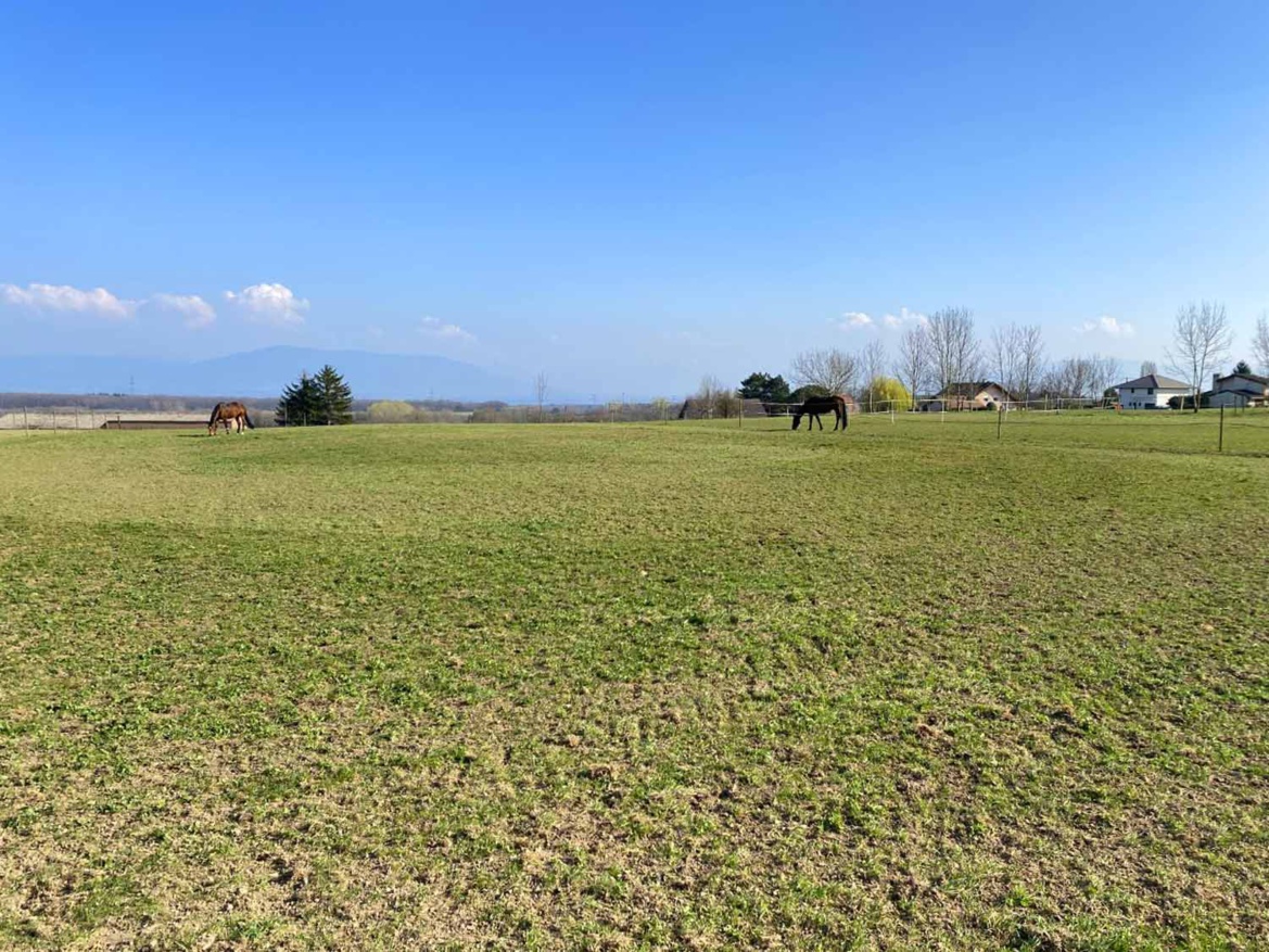 Entretien des parcs des Écuries du Rosey, école d'équitation à 5 min de Divonne les Bains