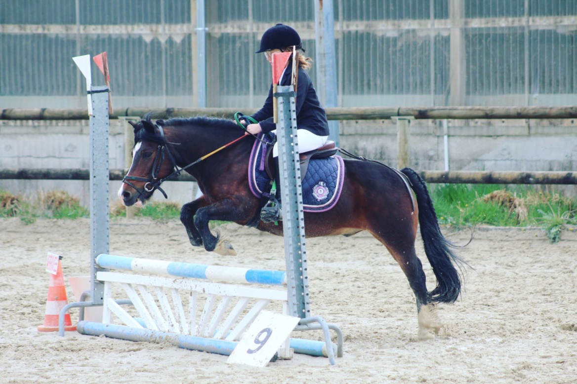Challenge interclubs CSO avec l'Abreuvoir de Grilly