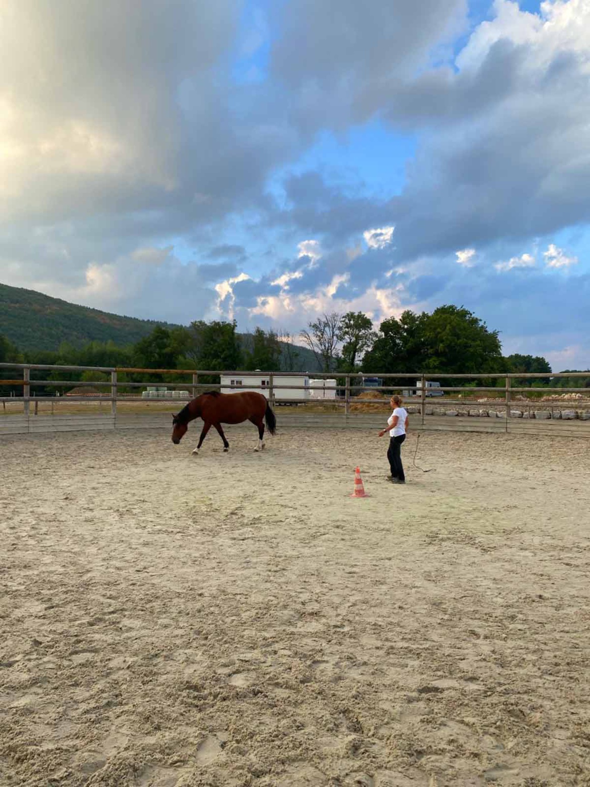 Retour sur nos stages de cet été 2022 aux Écuries du Rosey, poney club dans le pays de Gex Retour sur nos stages de cet été 2022 aux Écuries du Rosey, poney club dans le pays de Gex