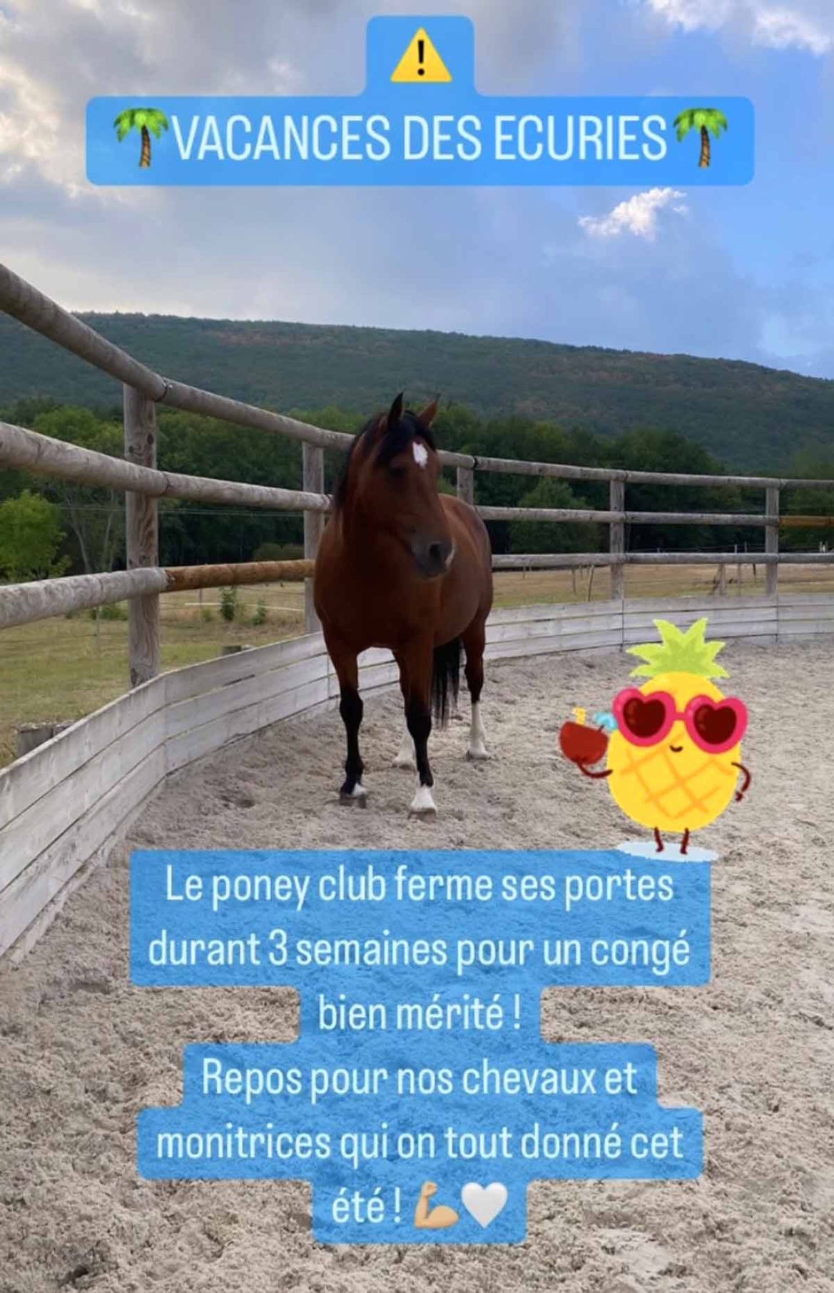 C'est les vacances pour le poney club des Écuries du Rosey !
