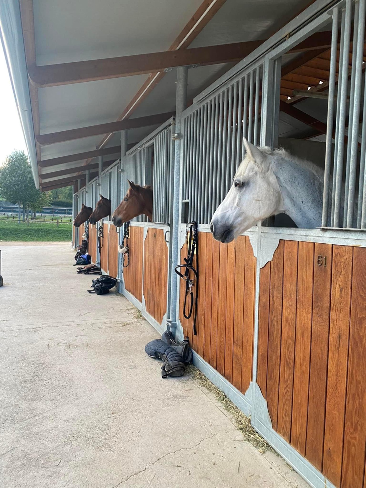 CSO en Bourgogne à Macon Chaintré, comme les grands ! CSO en Bourgogne à Macon Chaintré, comme les grands !