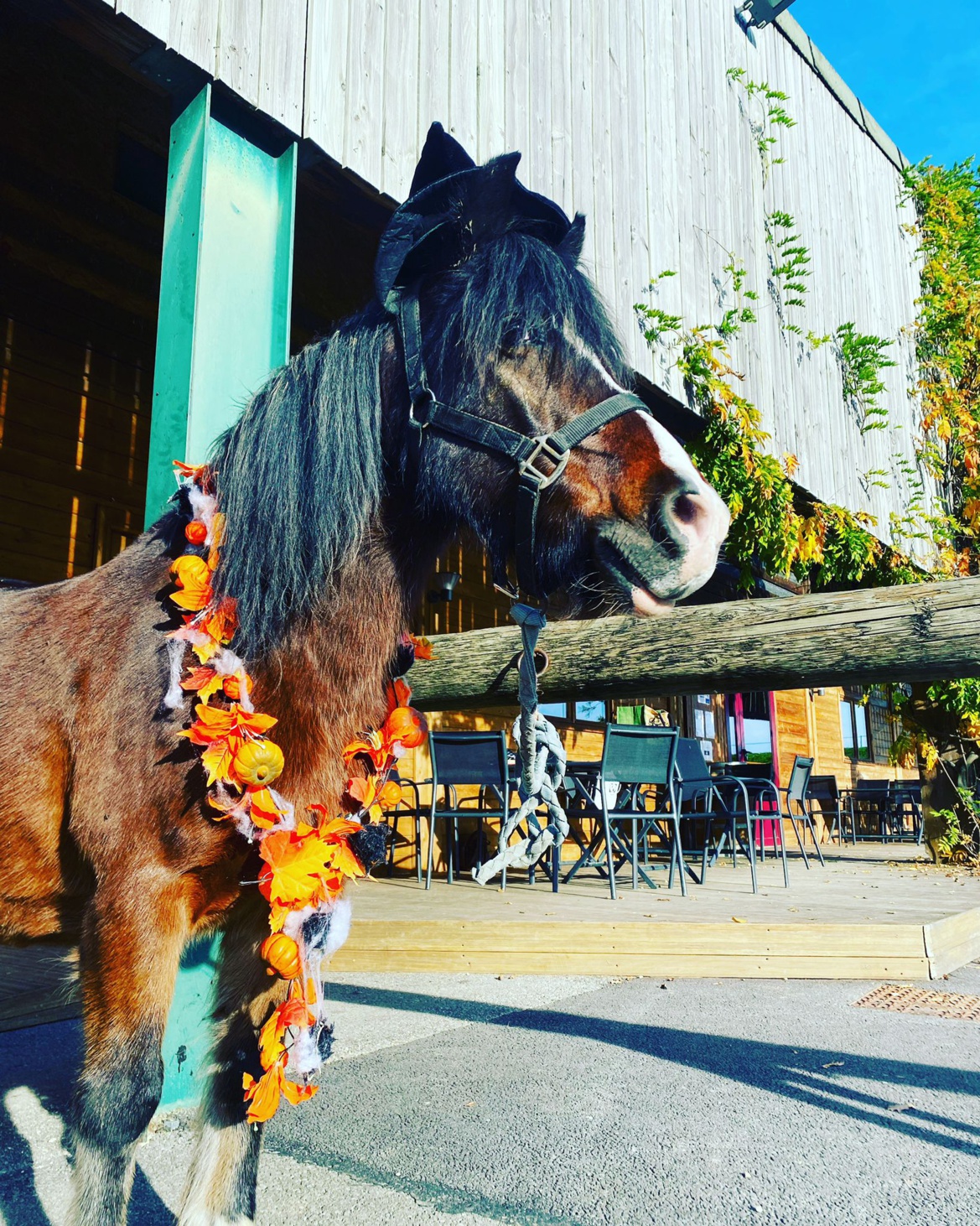 Fête d'Halloween aux Écuries du Rosey