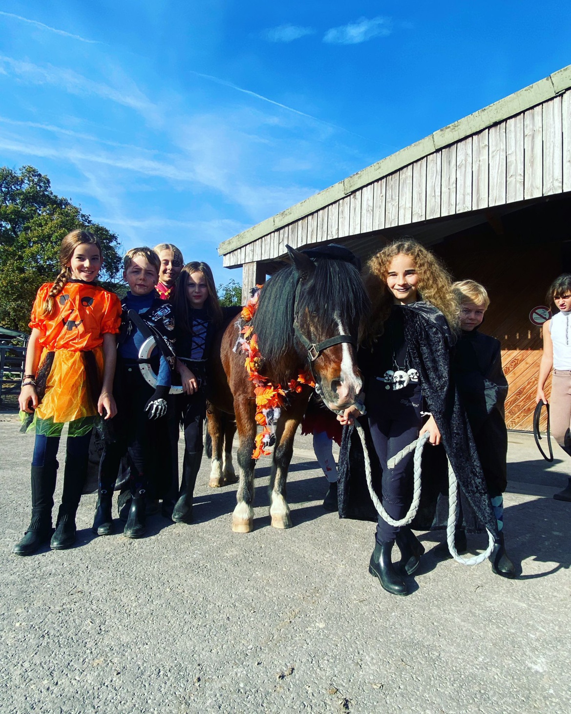 Fête d'Halloween aux Écuries du Rosey Fête d'Halloween aux Écuries du Rosey