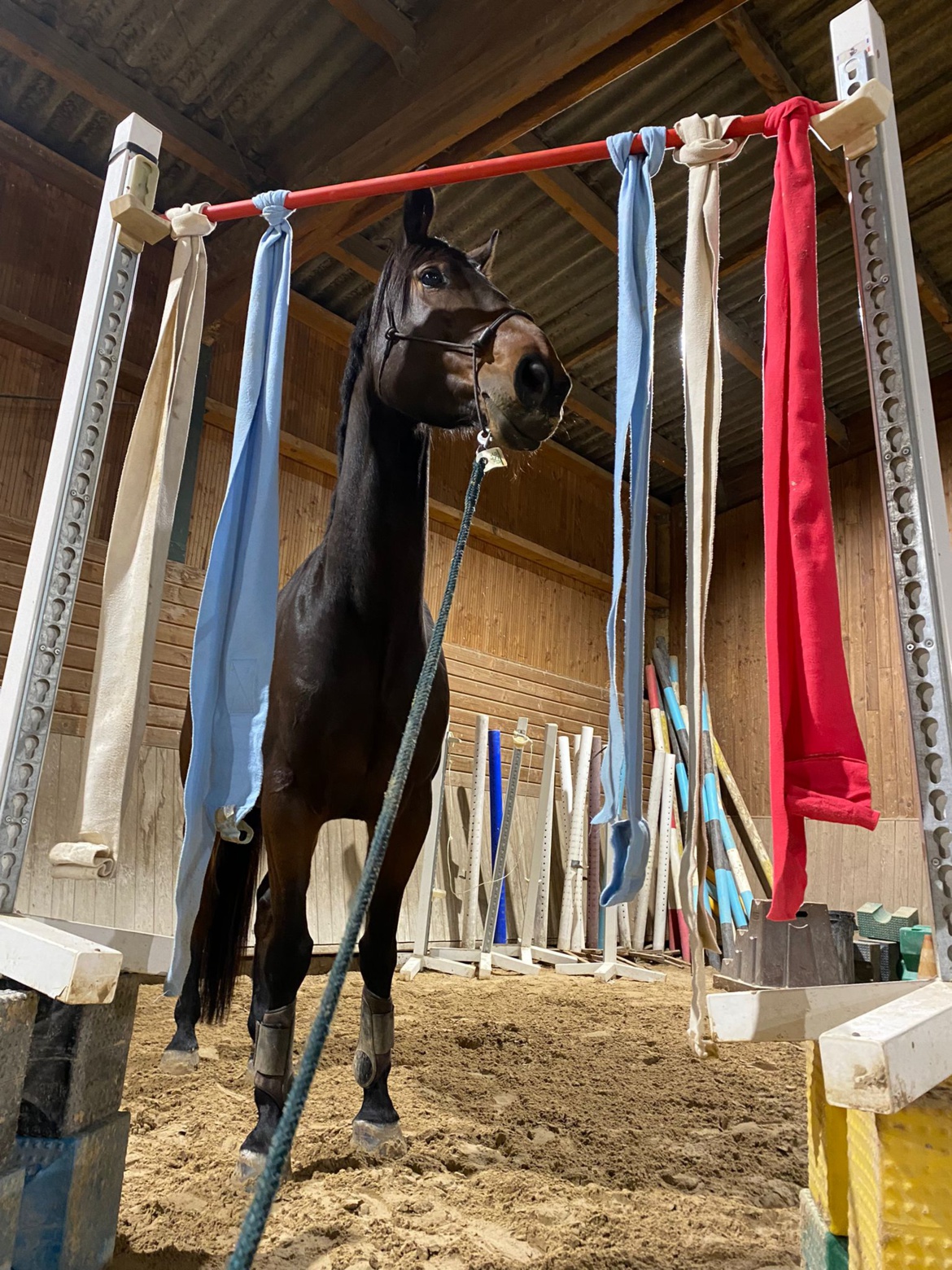 Activités du dimanche aux Écuries du Rosey Activités du dimanche aux Écuries du Rosey