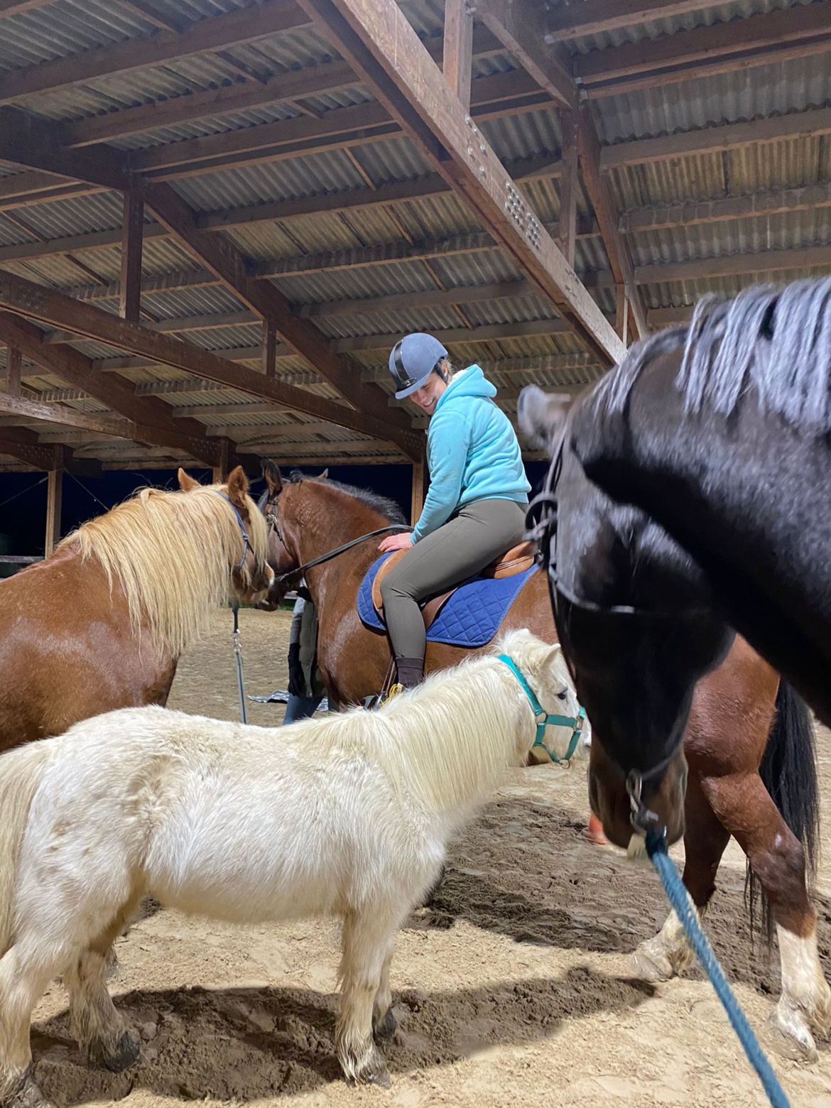 Activités du dimanche aux Écuries du Rosey Activités du dimanche aux Écuries du Rosey