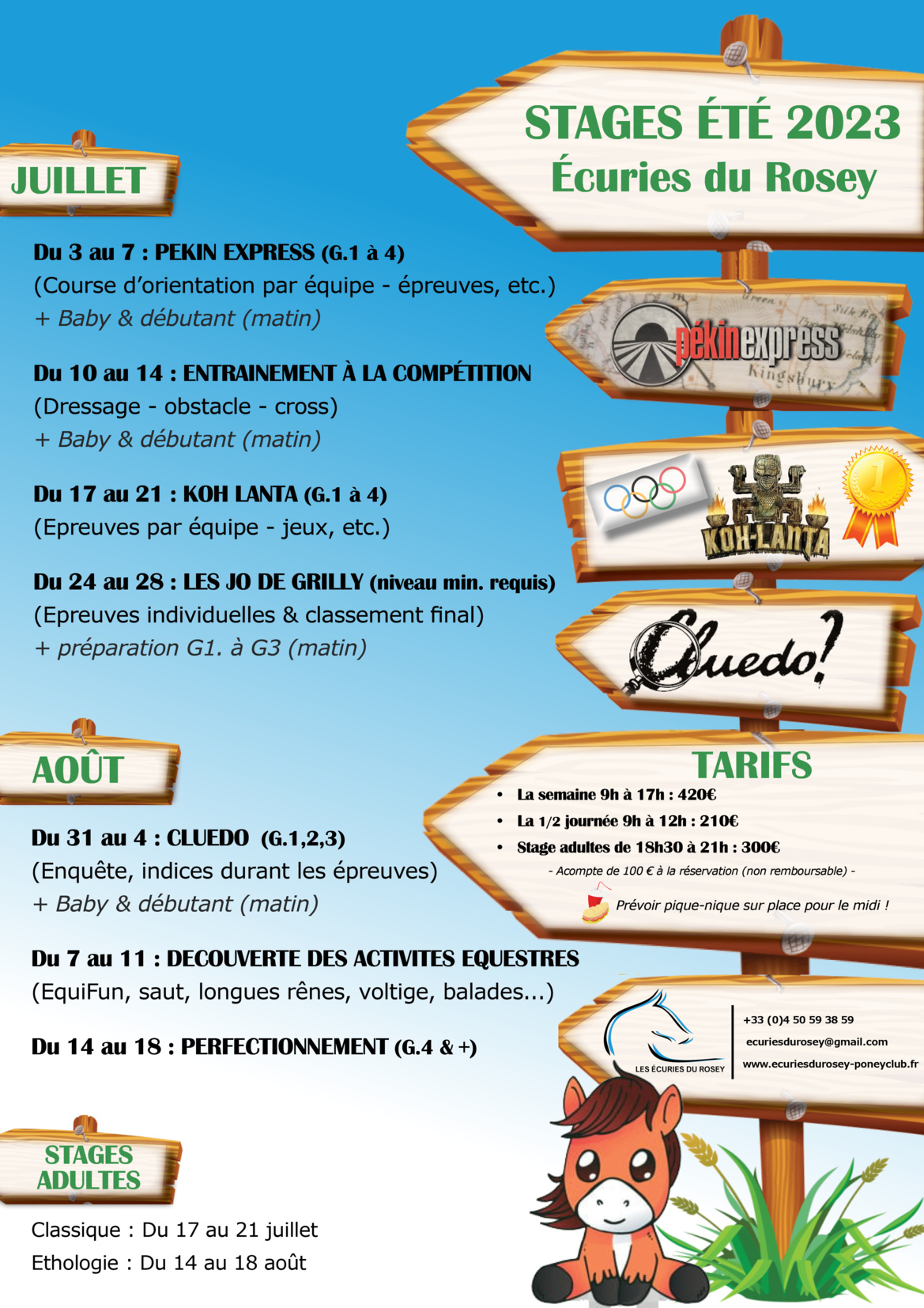 Planning des stages d'équitation au poney club des Écuries du Rosey dans le pays de Gex