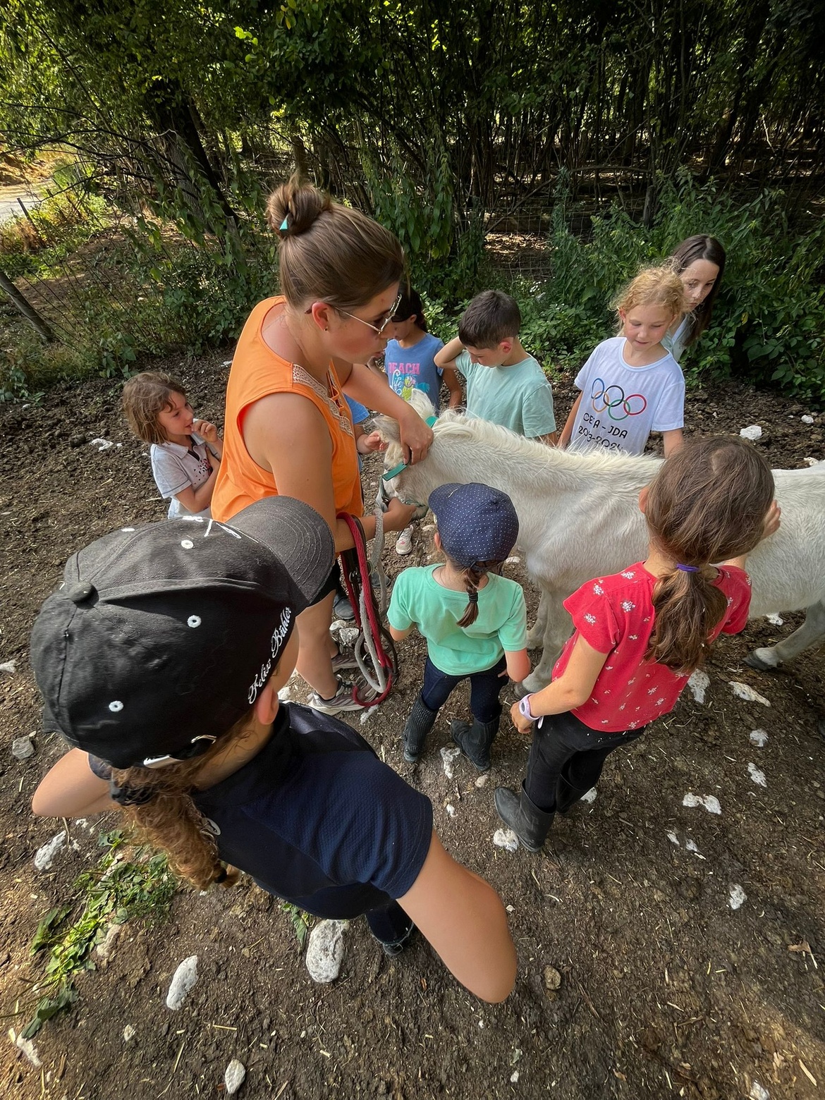 Un été aux écuries du Rosey, centre équestre et école d'équitation dans le pays de Gex