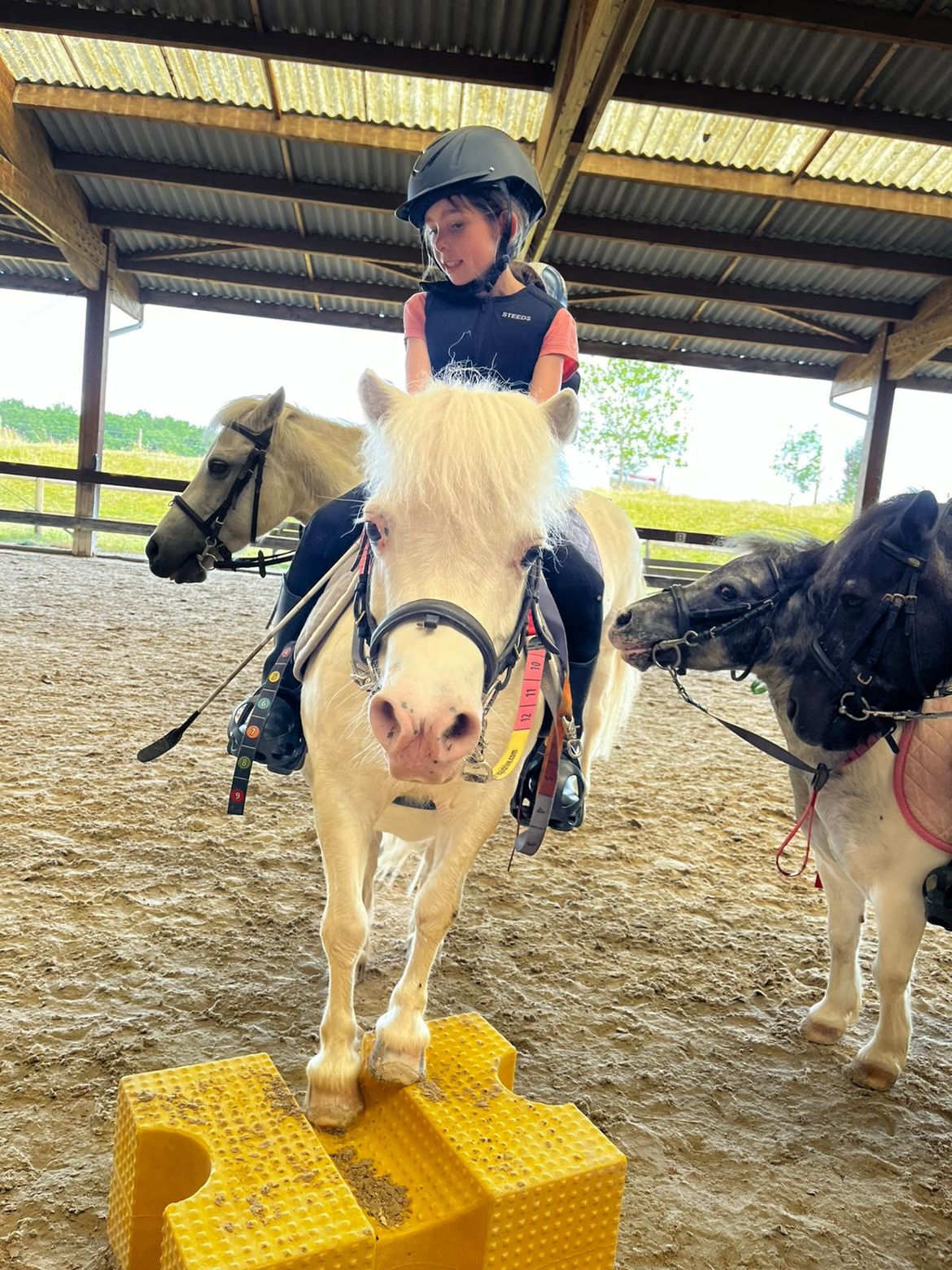 La rentrée aux Ecuries du Rosey c'est la semaine du 8 septembre ! La rentrée aux Ecuries du Rosey c'est la semaine du 8 septembre !