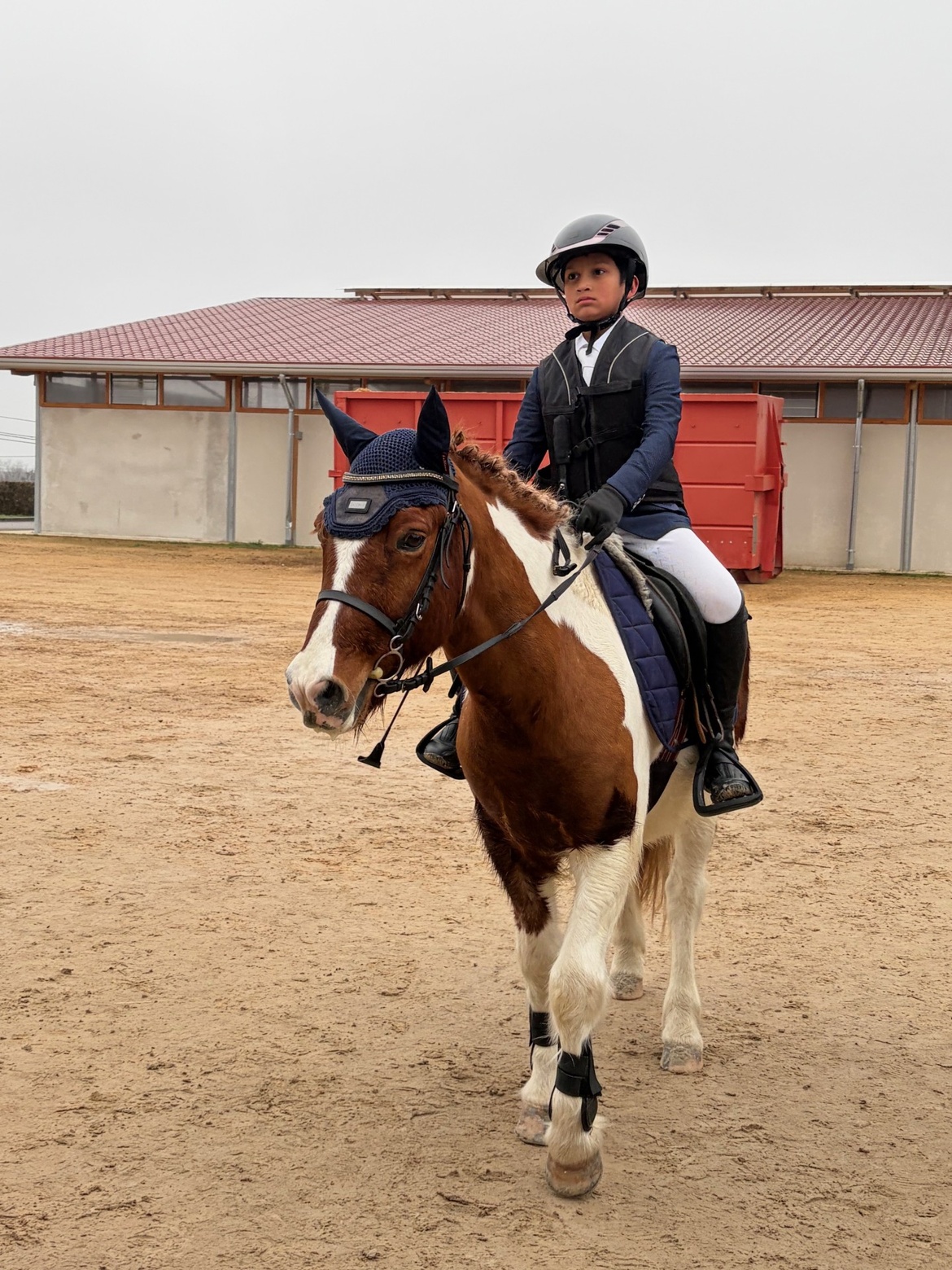 Compétition de Noël ! Compétition de Noël !