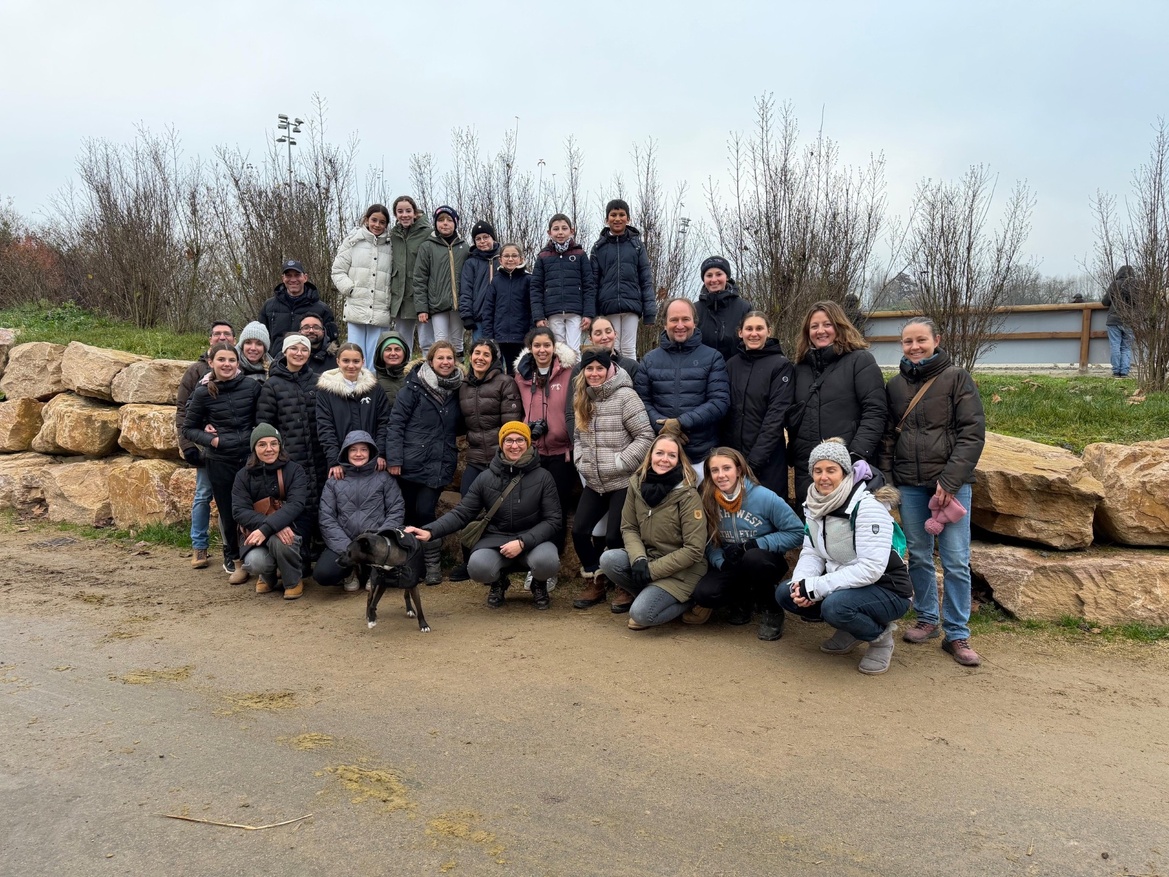 Compétition de Noël ! Compétition de Noël !