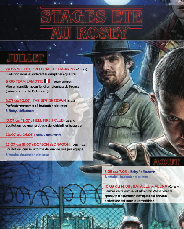 STAGES D'EQUITATION ETE 2026