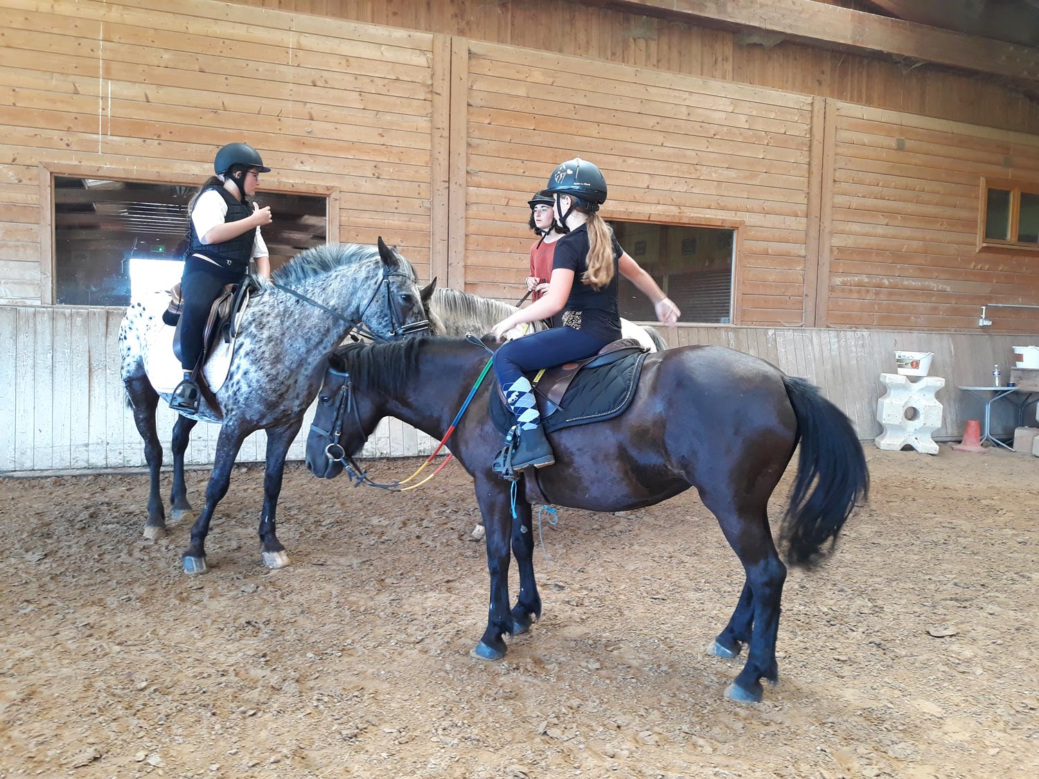 Jeux à poneys