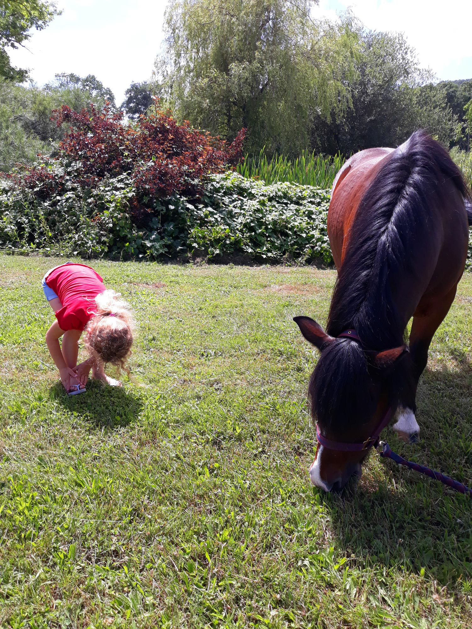 Mon petit poney Mon petit poney