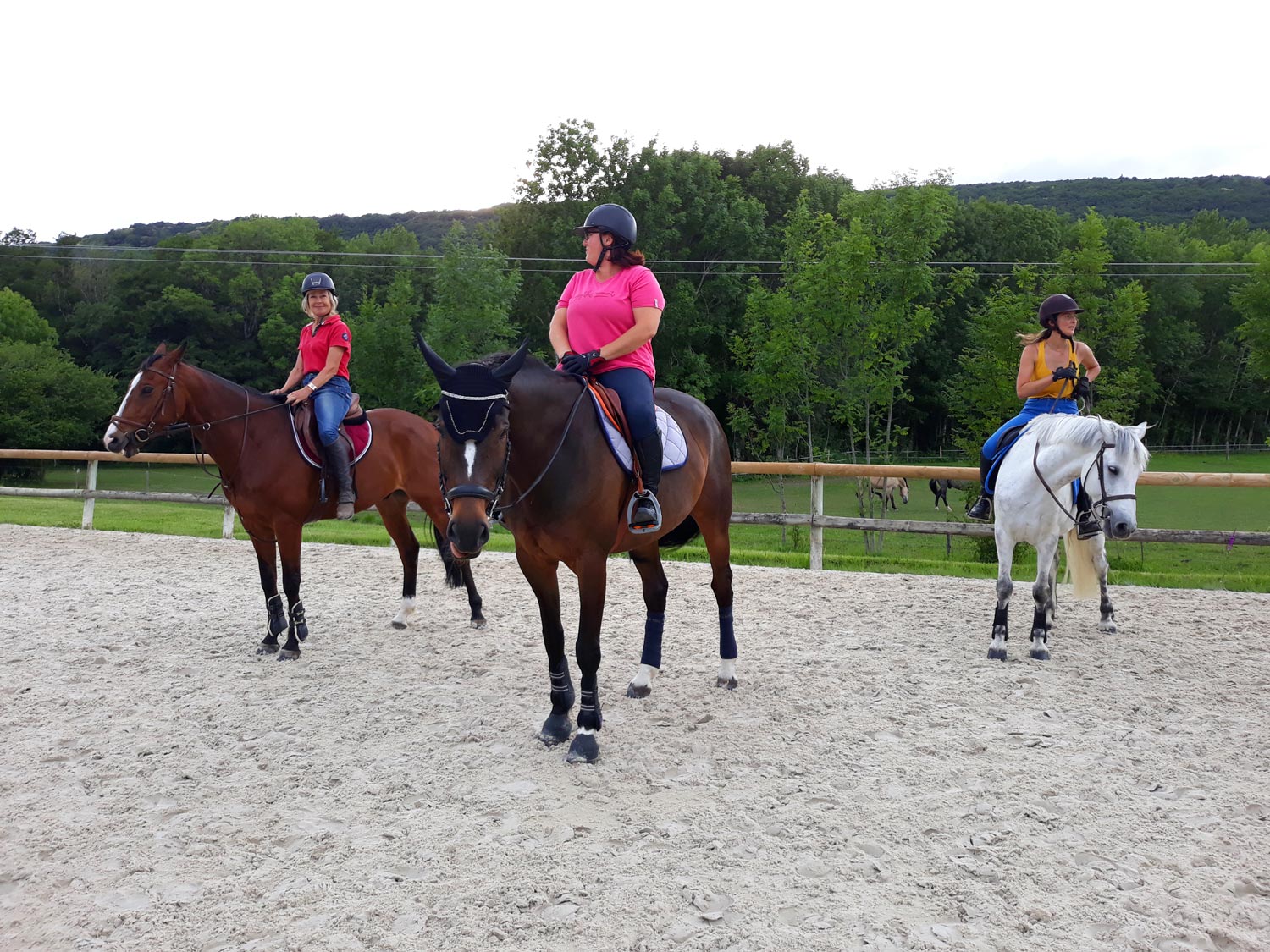 Cours adultes confirmés Cours adultes confirmés