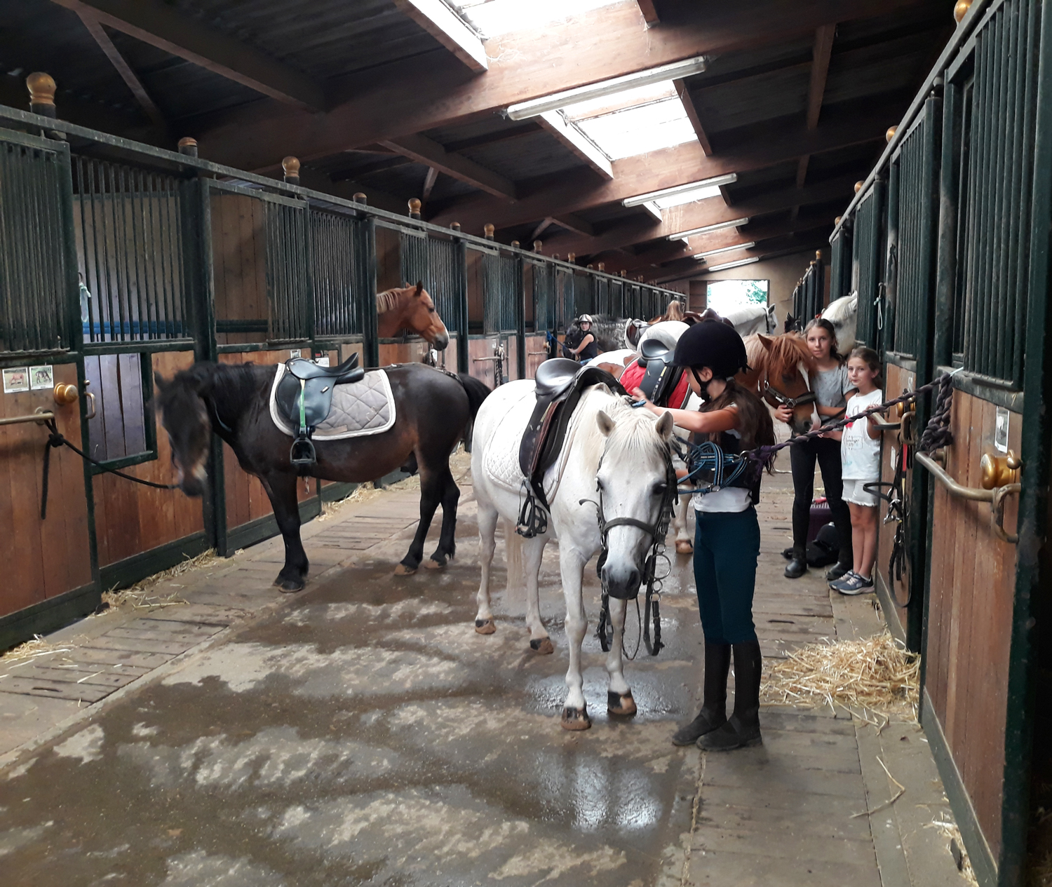 Cours d'équitation avec Benoît