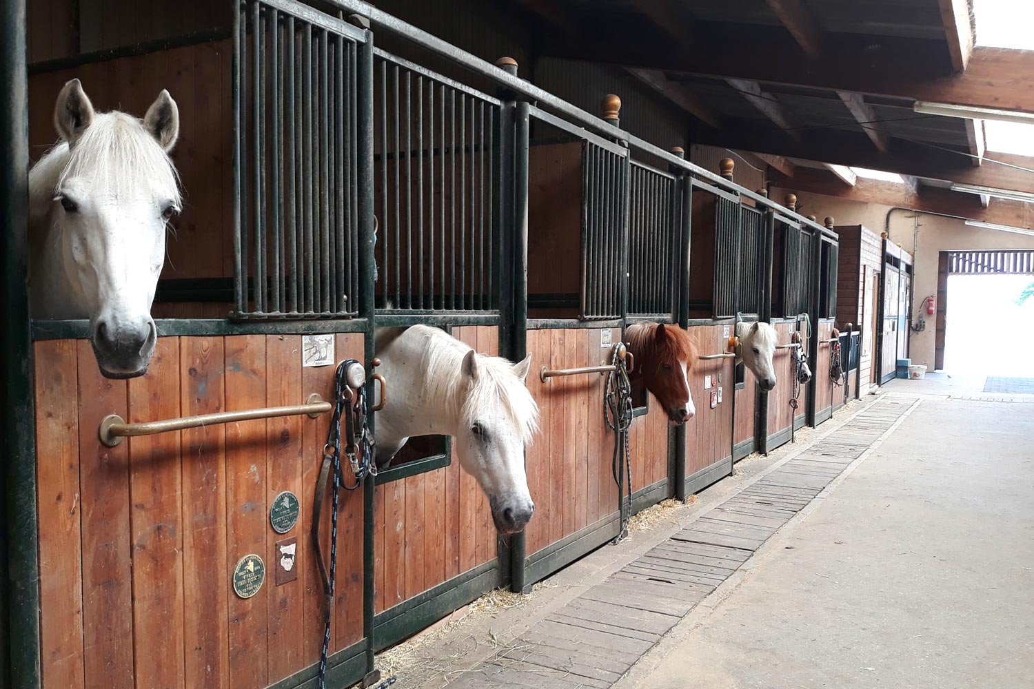 Nos petits loulous ! Nos petits loulous !