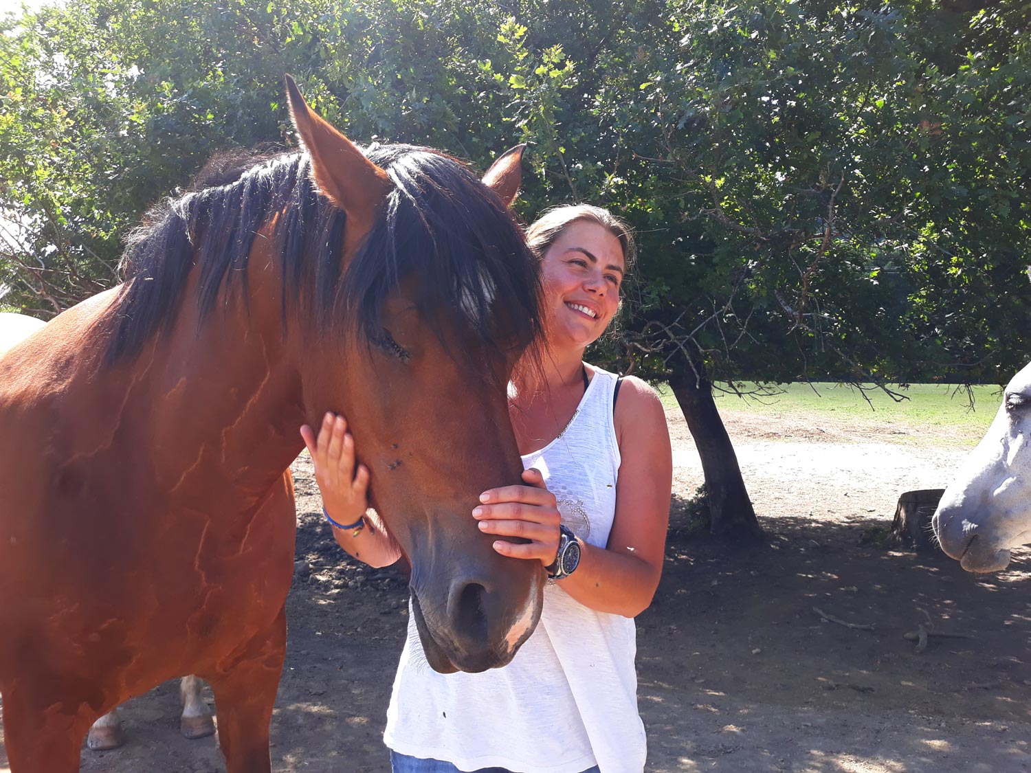 Happy life ! Happy life !