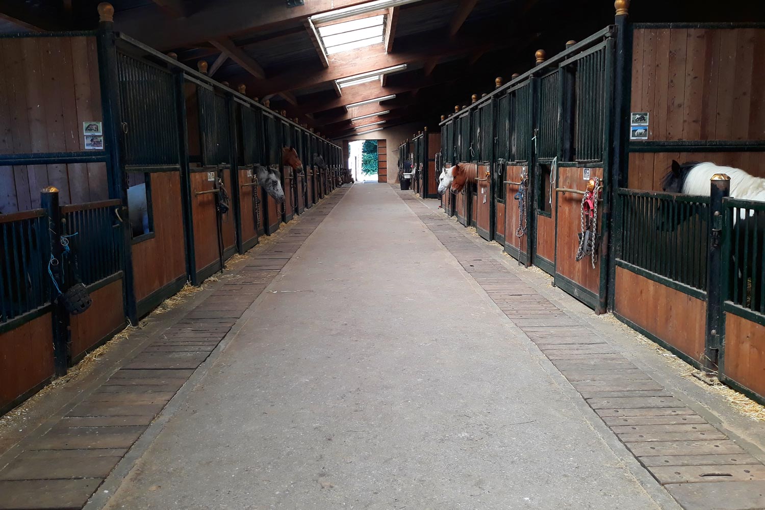 Allée centrale Allée centrale