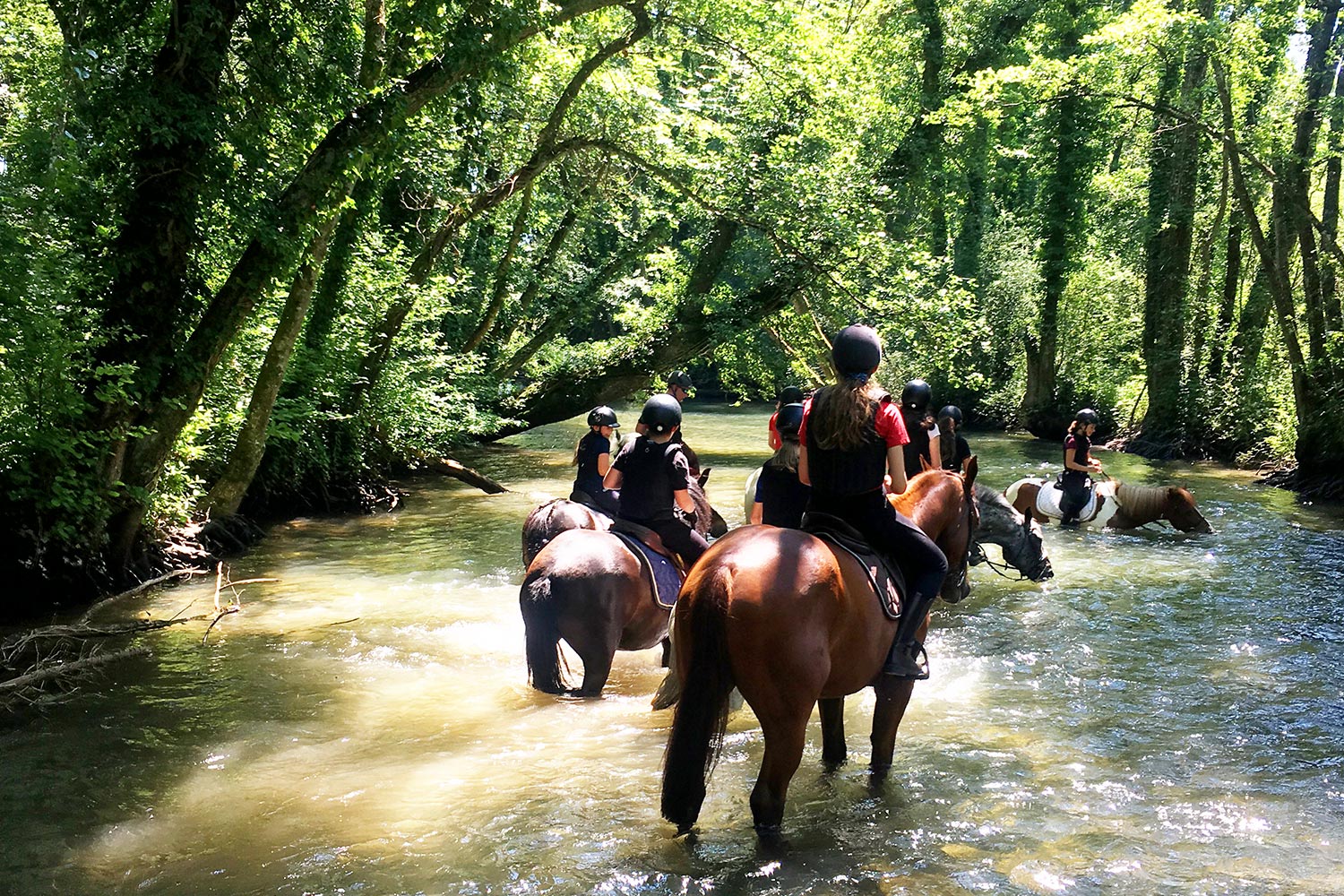 Balade estivale aux Ecuries du Rosey